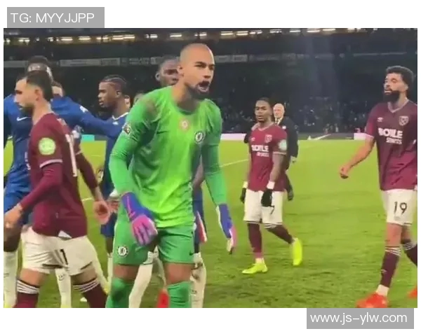 足球明星罗伯特的精彩瞬间与个人生平介绍图片分享