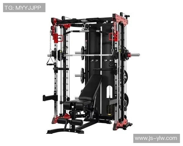 全面提升背部力量的健身器材推荐与练习技巧分享